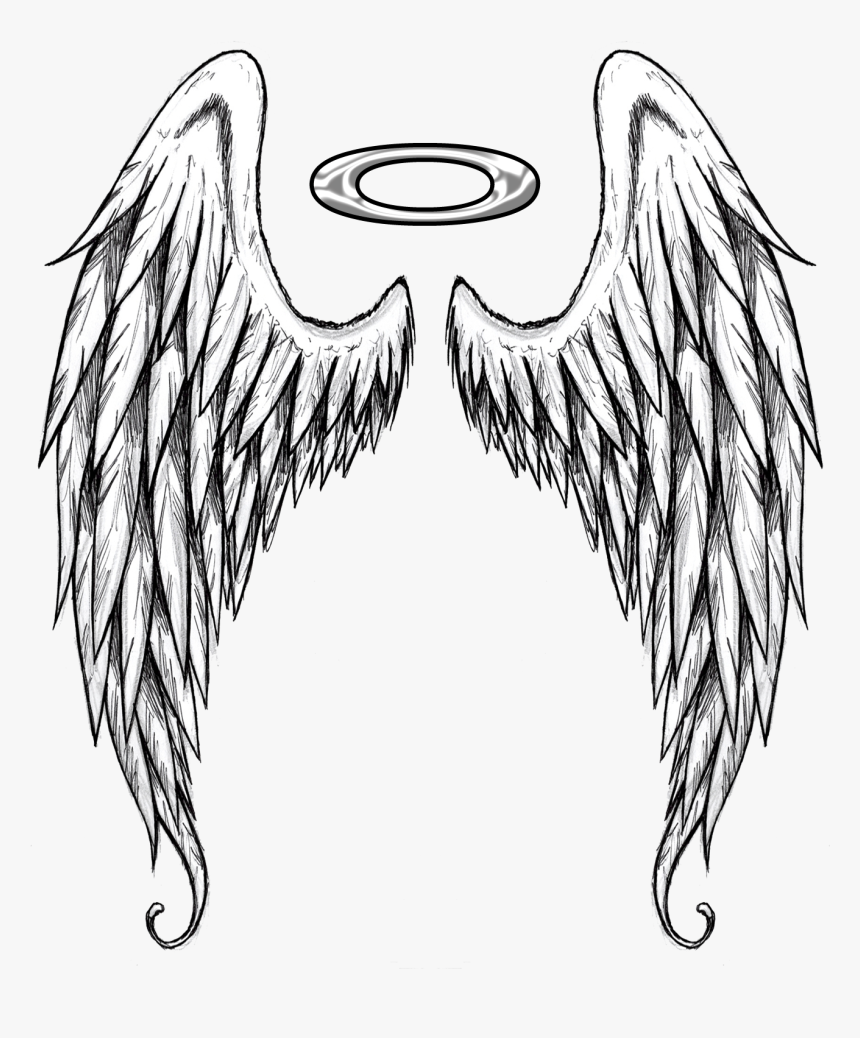 Home Wing Tattoo Designs, Design Tattoos, Angel Wings - Black And White Angel Wings Drawing, HD Png Download, Free Download