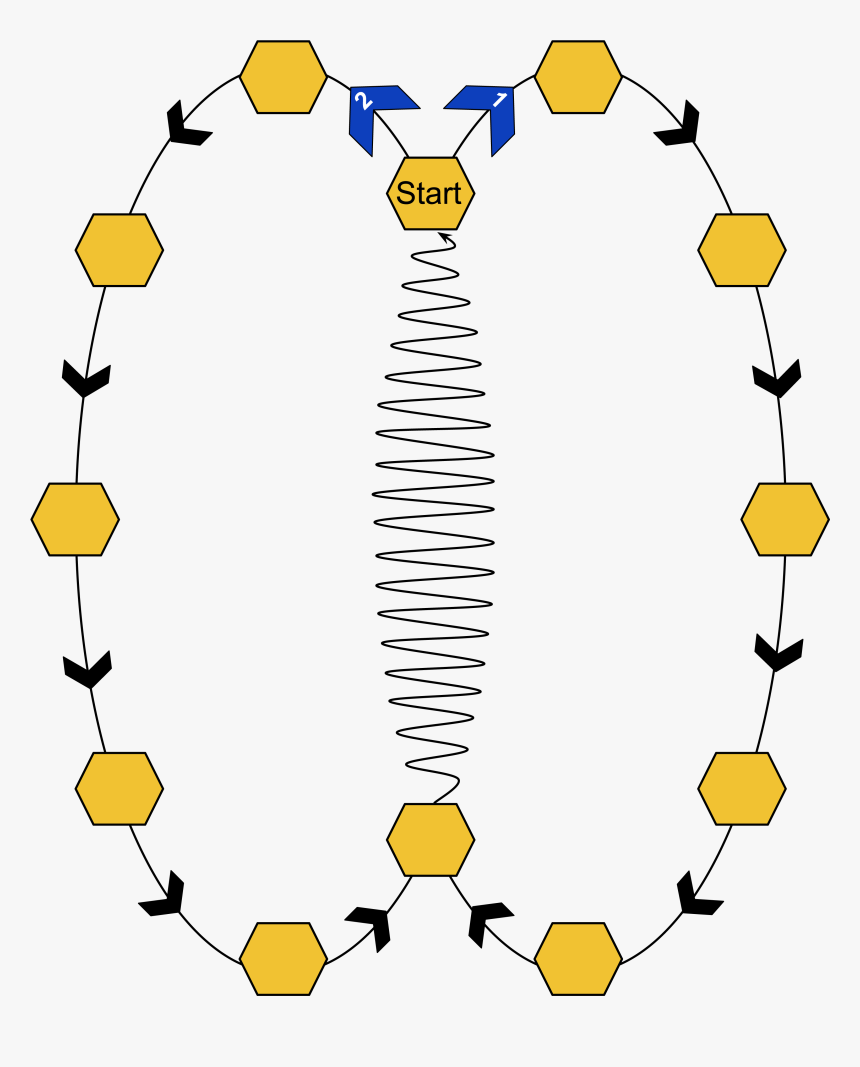 A Colored Diagram Showing Two Ovals With Various Yellow - Circle, HD Png Download, Free Download