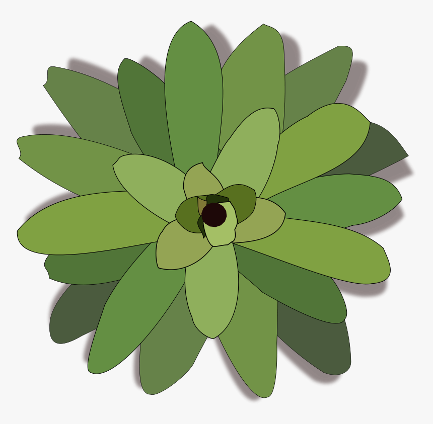 Free Bromelia-02 - Tree Top View Icon Png Transparent, Png Download, Free Download