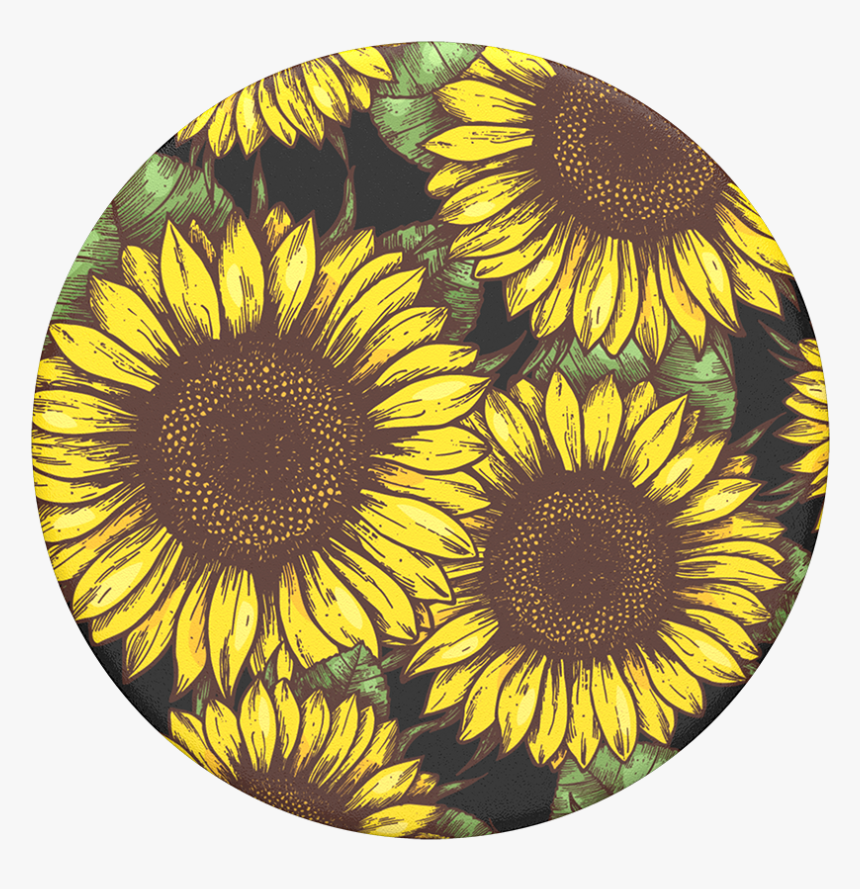 Sunflowers Popsocket, HD Png Download, Free Download