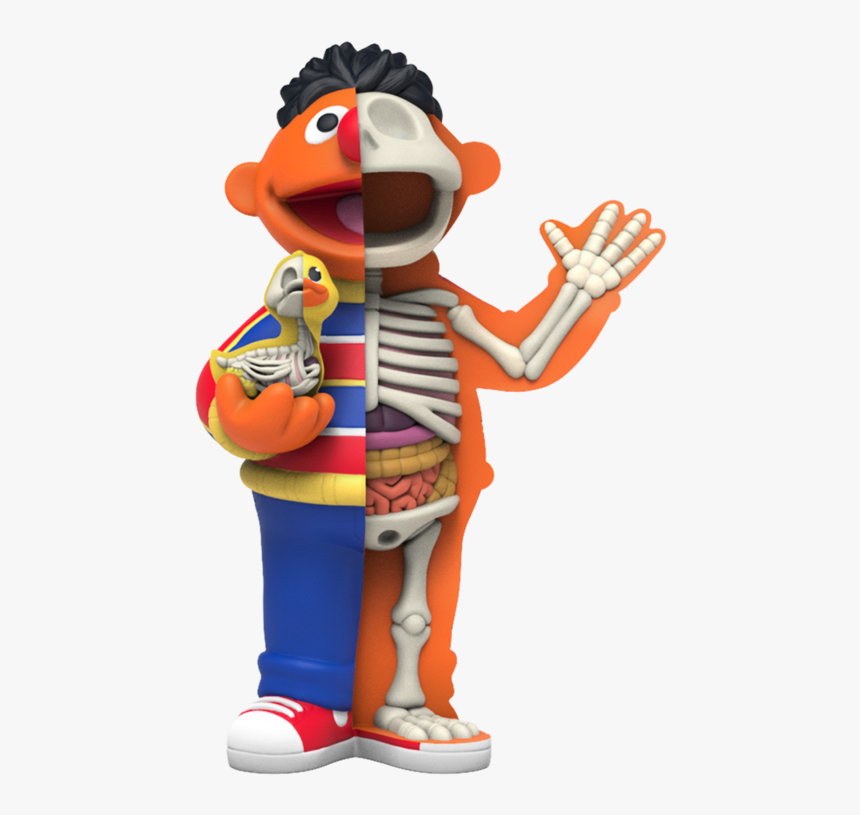 Hidden Dissectables Sesame Street Blind Box Series - Jason Freeny Sesame Street, HD Png Download, Free Download