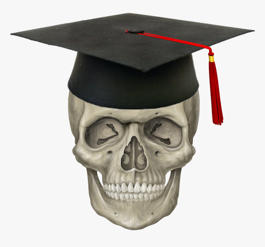 Cap & Skull - Skeleton Head Transparent, HD Png Download, Free Download