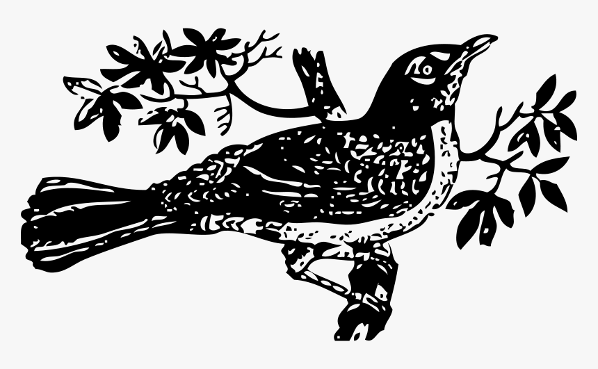 To Kill A Mockingbird Drawing Clip Art - Kill A Mockingbird Clipart, HD Png Download, Free Download