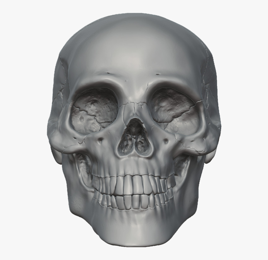 Skeleton Head Free Png Image - Skeleton Head Transparent, Png Download, Free Download