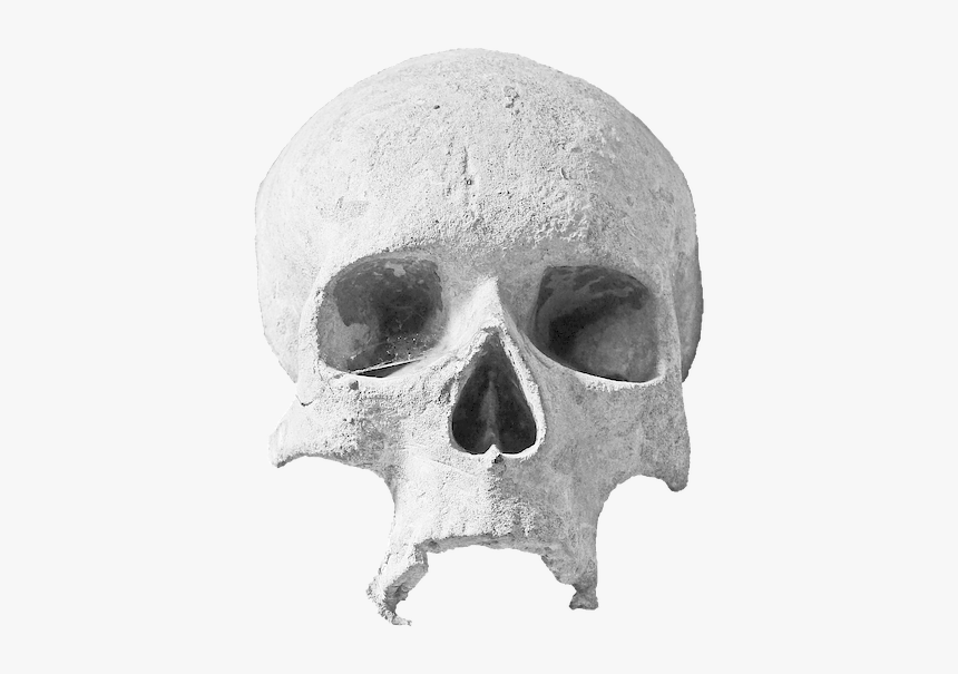 Grunge Skull Png, Transparent Png, Free Download