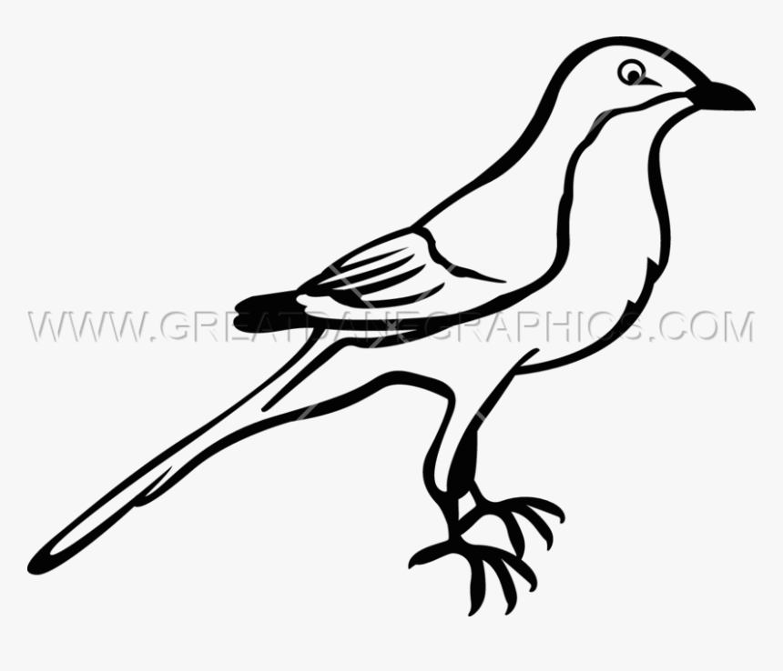 Transparent Texas Symbols Clipart - Northern Mockingbird Easy Drawing, HD Png Download, Free Download