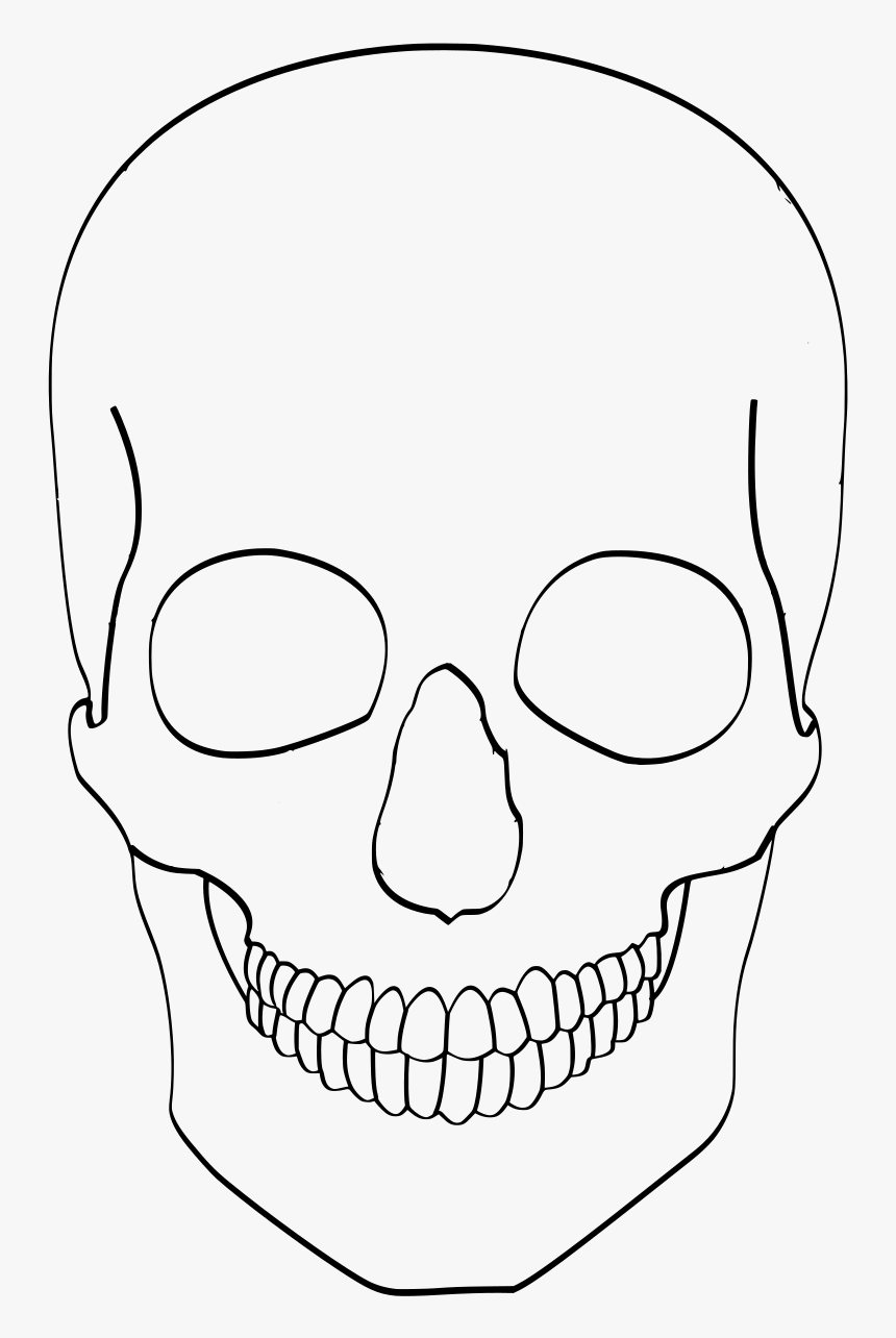 Skull, HD Png Download - kindpng