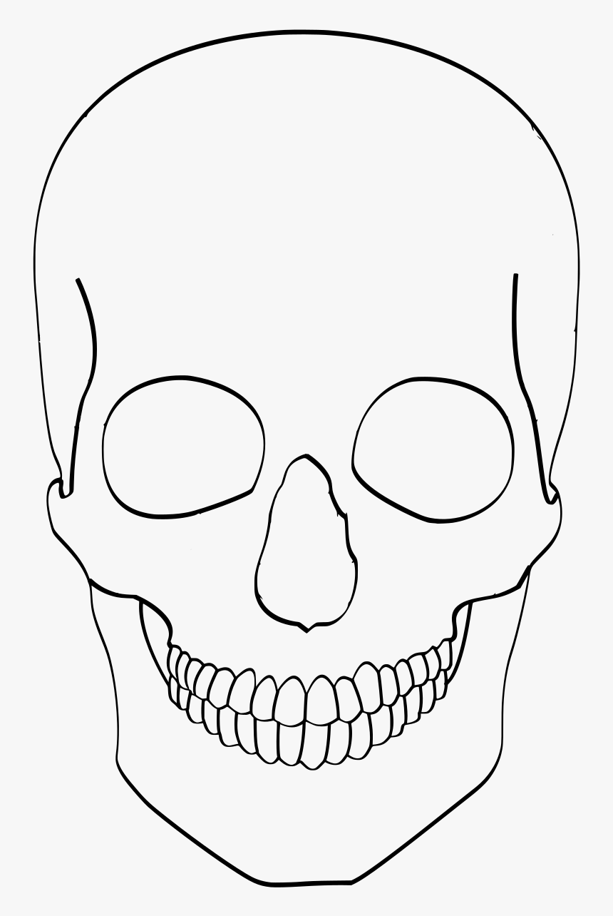 Skull, HD Png Download, Free Download