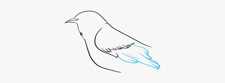 How To Draw Mockingbird - Sketch, HD Png Download, Free Download