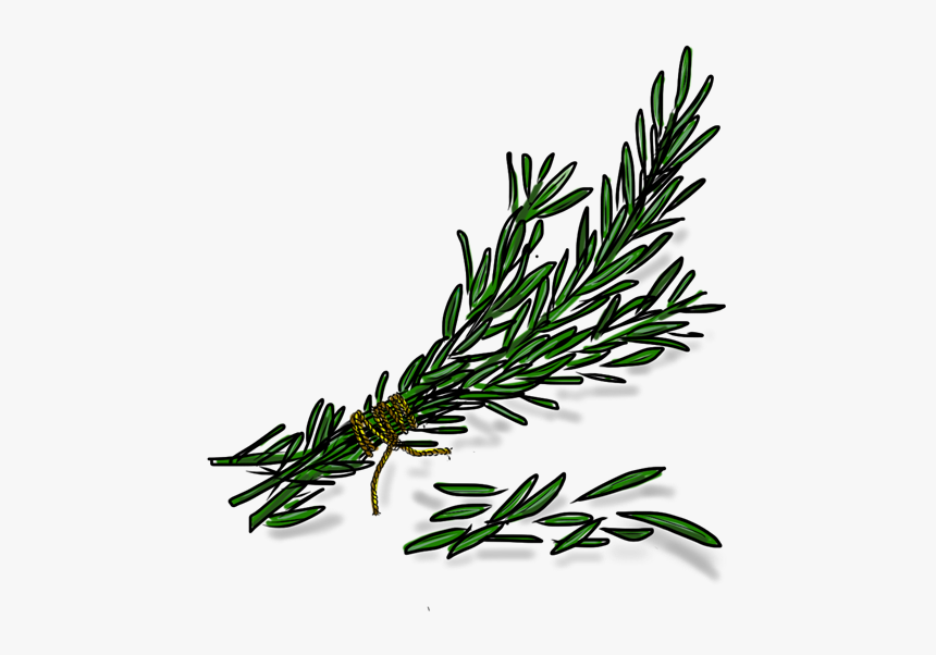 Crushed Rosemary Transparent, HD Png Download, Free Download