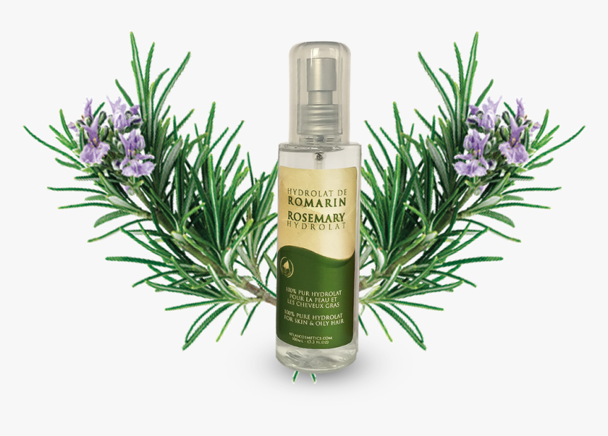 Azoor Rosemary Floral Water Hydrolat By Atlas Cosmetics - Cosmetics, HD Png Download, Free Download