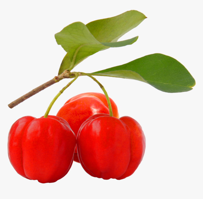 Thumb Image - Acerola Png, Transparent Png, Free Download