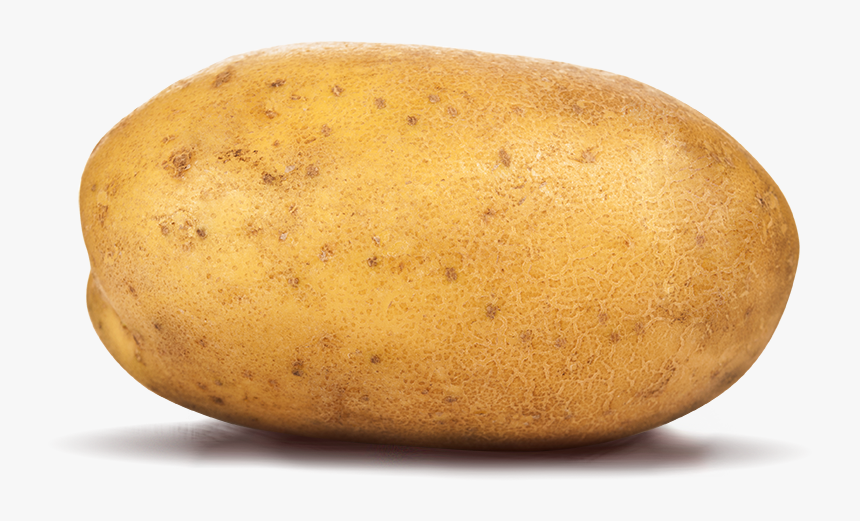 Potato, HD Png Download, Free Download