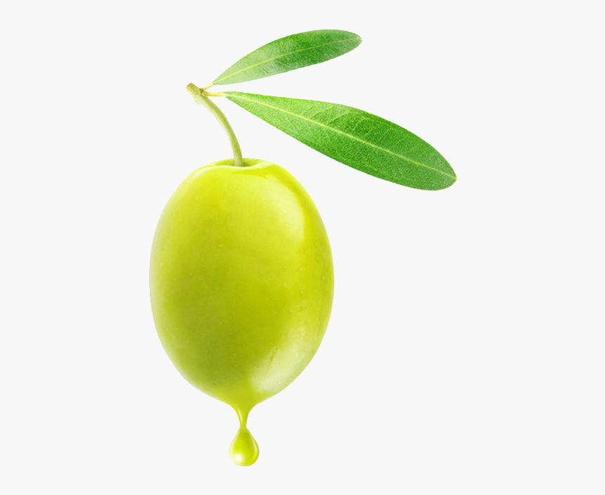 Olive Png, Transparent Png, Free Download