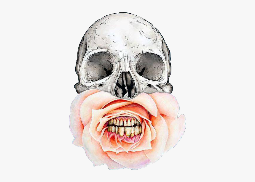 Skull, Flowers, And Rose Image - Skull With Flower In Mouth, HD Png Download, Free Download