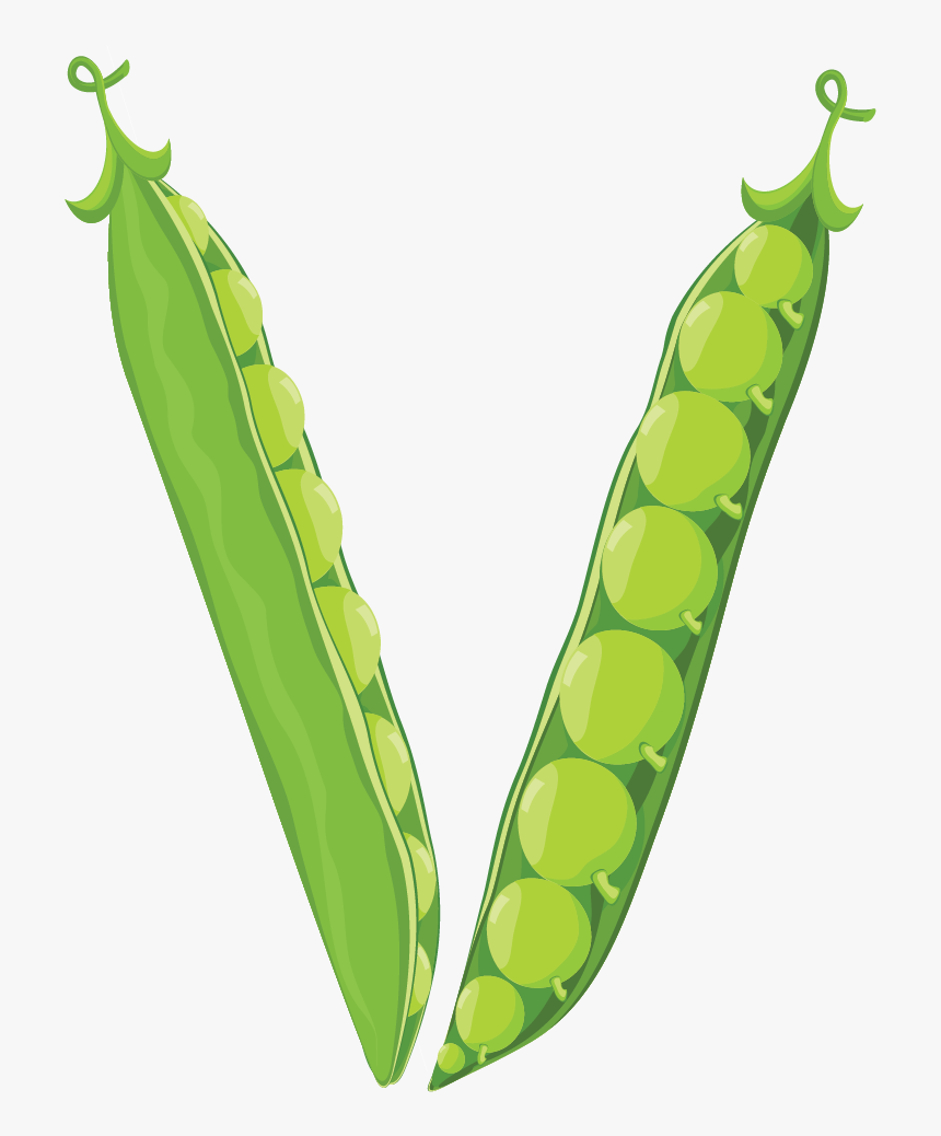 Vegetable Alphabets Png, Transparent Png, Free Download