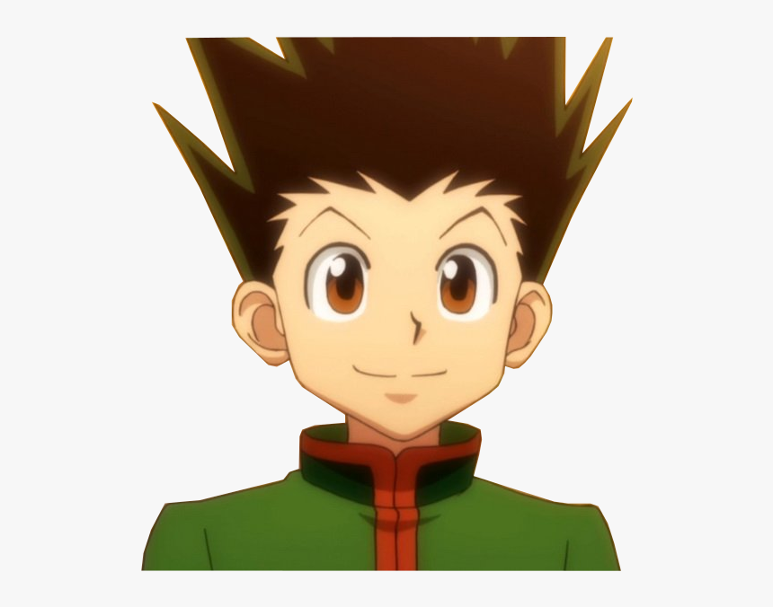 Https - //image - Noelshack - Com/fichiers/2018/03/ - Hunter X Hunter Gon Anime, HD Png Download, Free Download