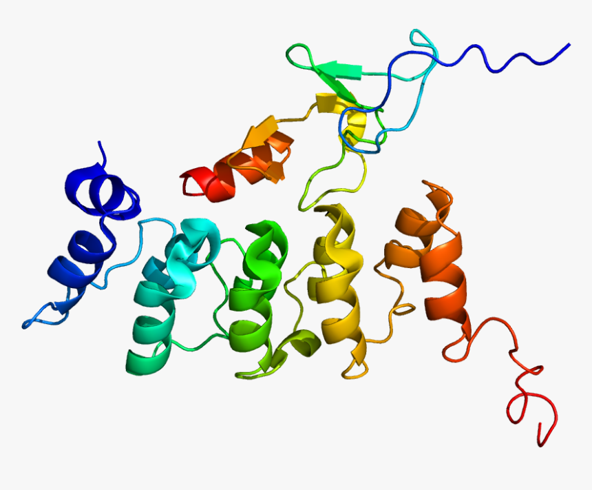 Protein Ilk Pdb 2kbx - Illustration, HD Png Download, Free Download