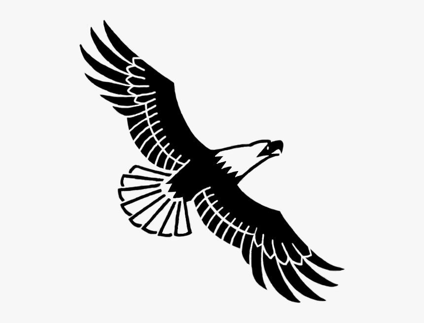 Mikan-eagle - Soaring Eagle Clipart Black And White, HD Png Download, Free Download