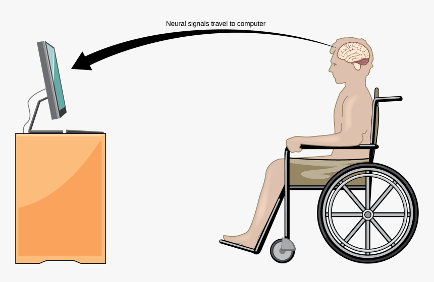 Illustration Shows A Person In A Wheelchair, Facing - Brain Computer Interfaces Purposes, HD Png Download, Free Download