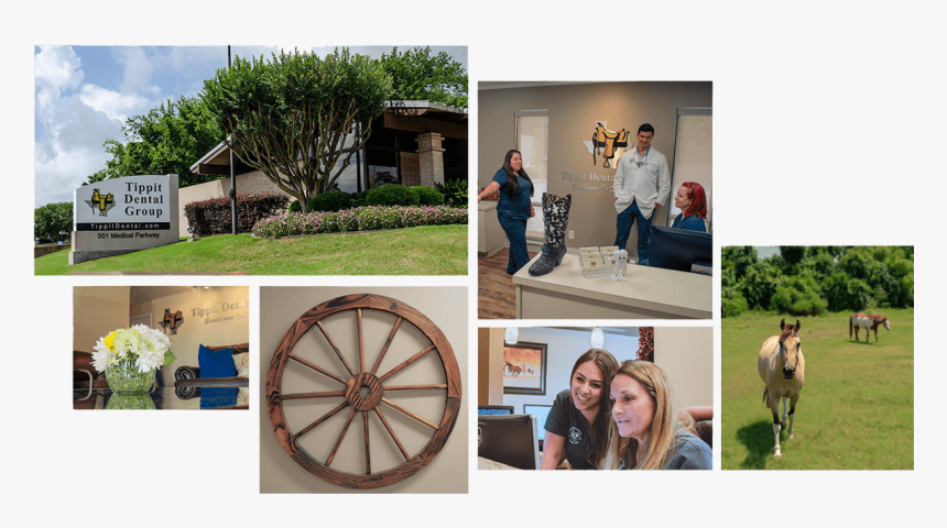 Collage, HD Png Download, Free Download