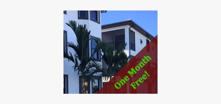 The Edge Apartments - Florida, HD Png Download, Free Download