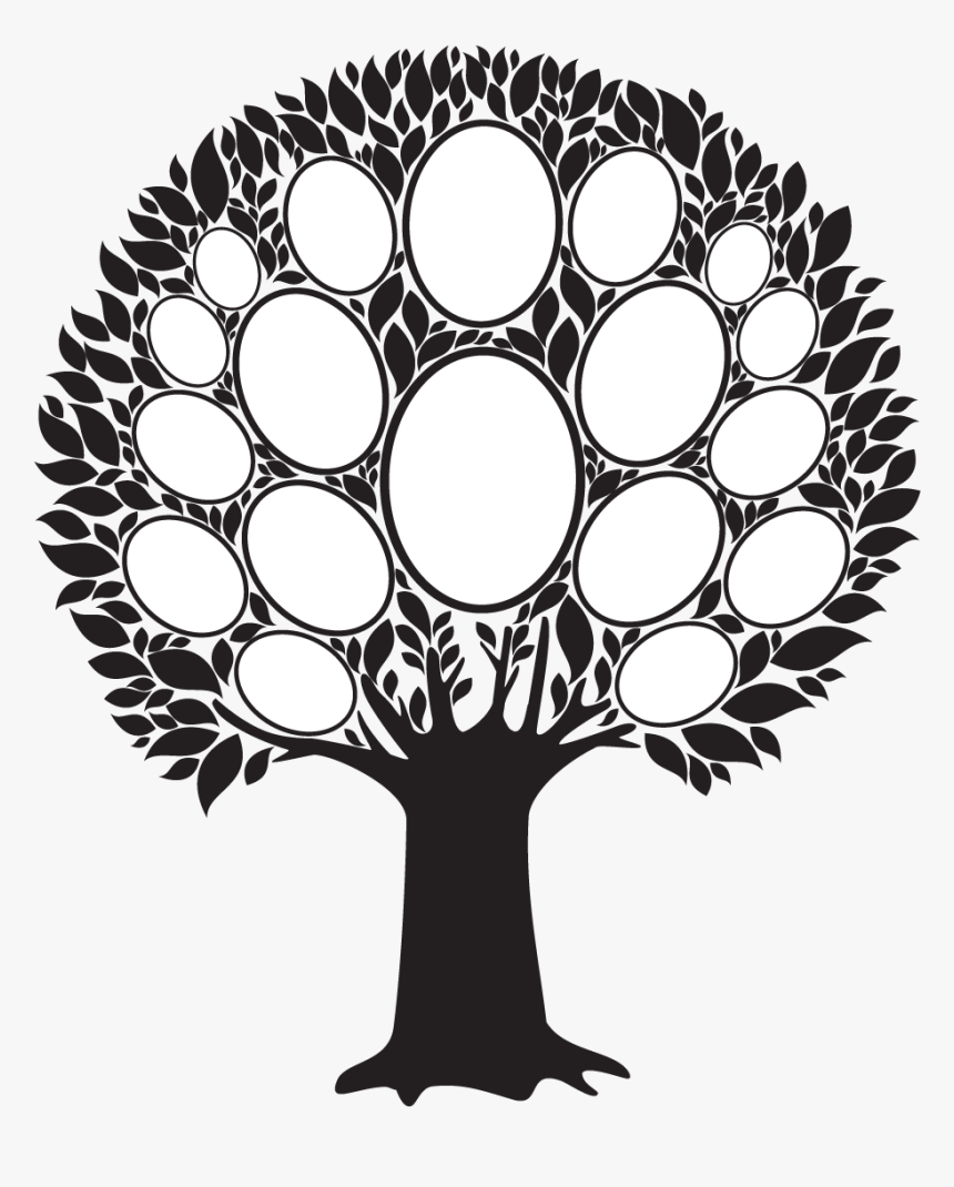 Family Tree Photo Frame Png , Png Download - Empty Family Tree Clip Art, Transparent Png, Free Download