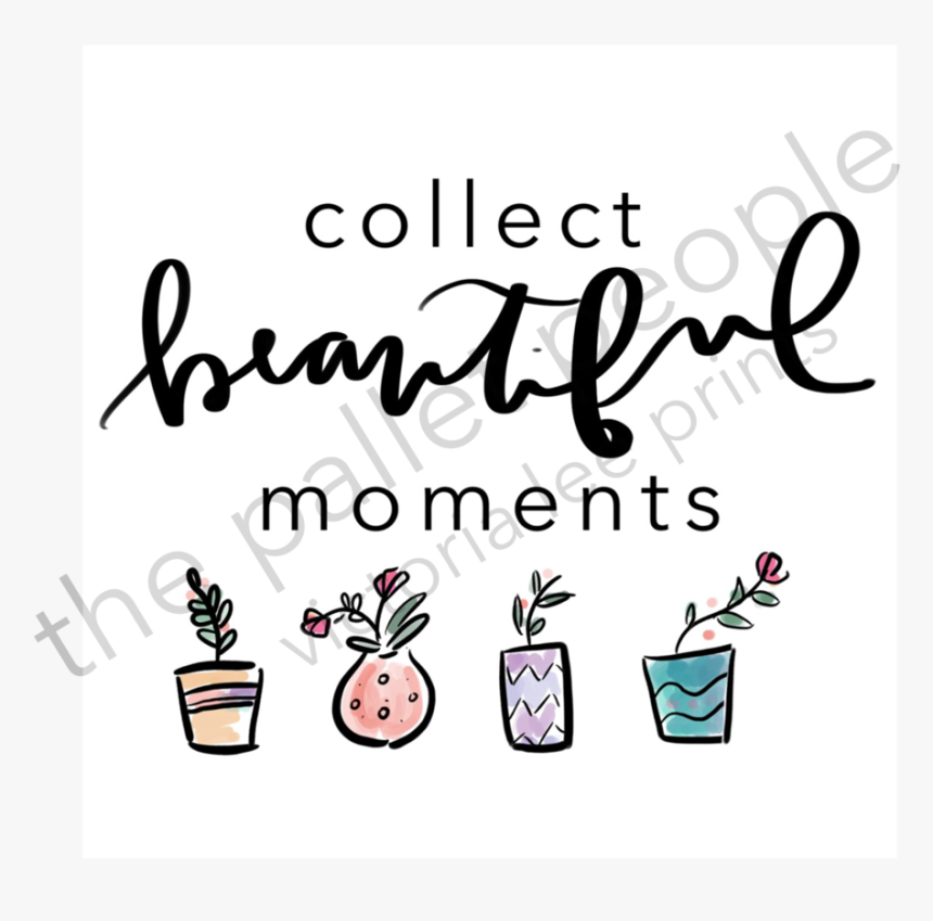 Collectthumbnail, HD Png Download, Free Download