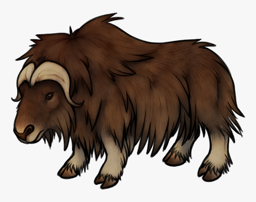 Musk Ox Drawing At Getdrawings - Musk Ox Transparent Background, HD Png Download, Free Download