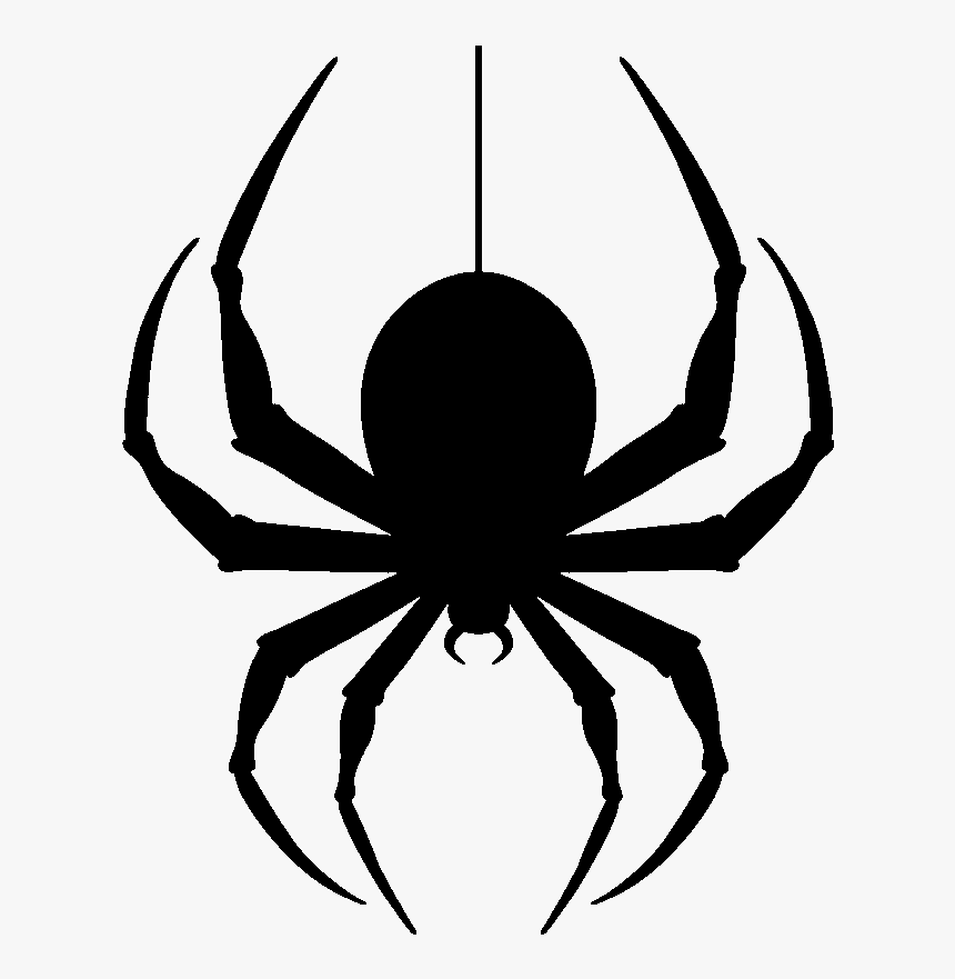 Download Hanging Spider Png Transparent Image - Transparent Background Spider Clip Art, Png Download, Free Download