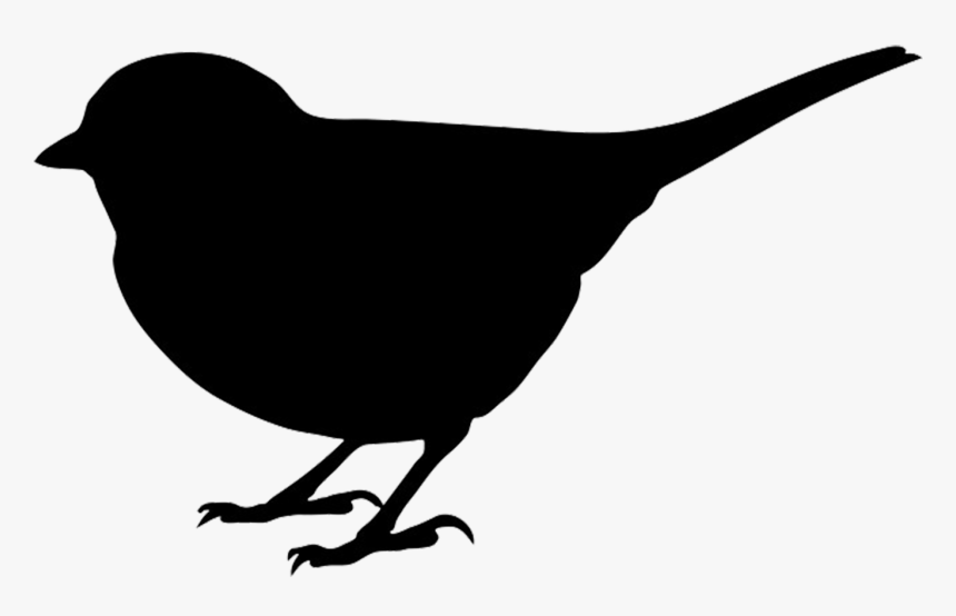 Bird Silhouette Clip Art - Silhouette Bird Clipart Black And White, HD Png Download, Free Download