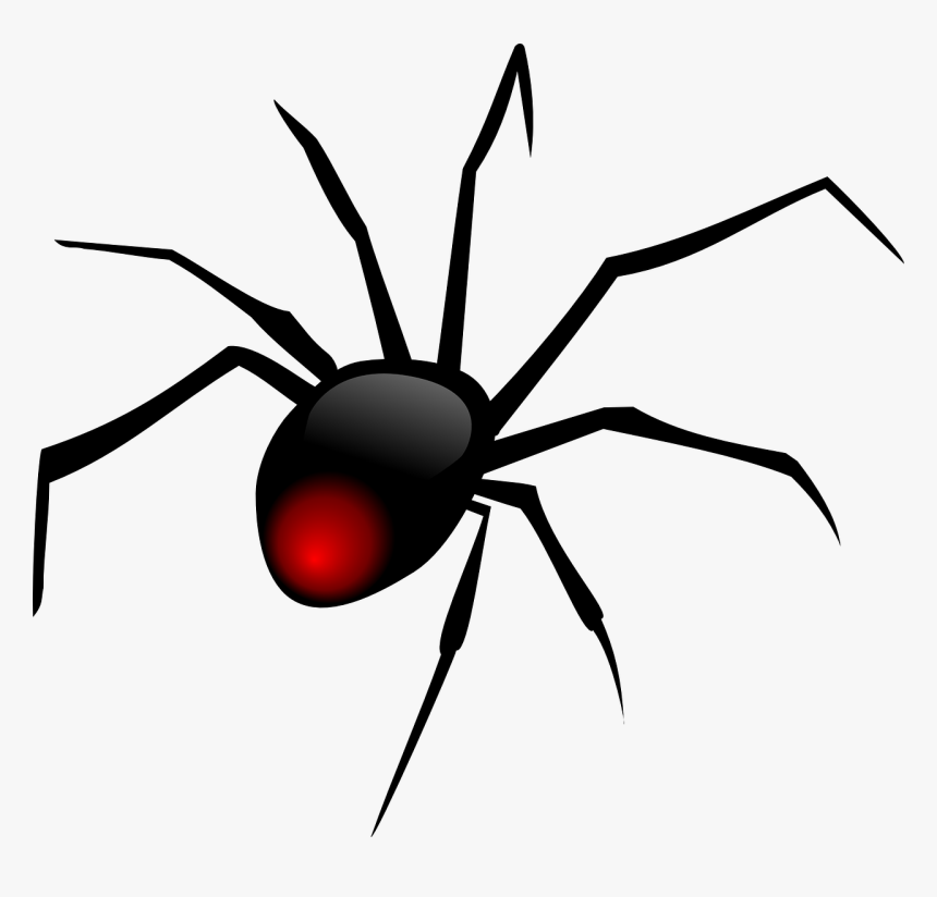 Redback Spider Svg Clip Arts - Spider Clipart Png, Transparent Png, Free Download