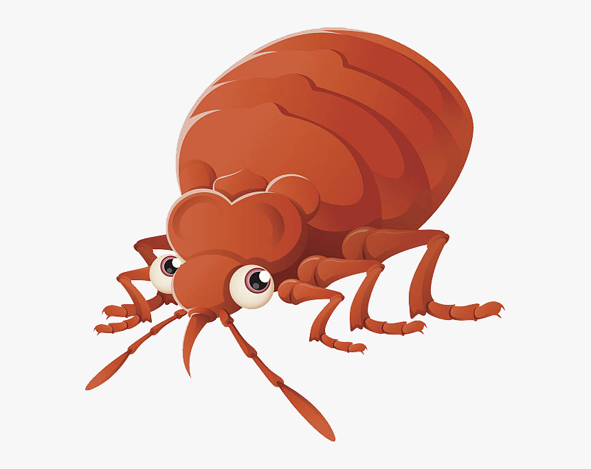 Bed Bug Png - Cartoon Bed Bugs Png, Transparent Png, Free Download