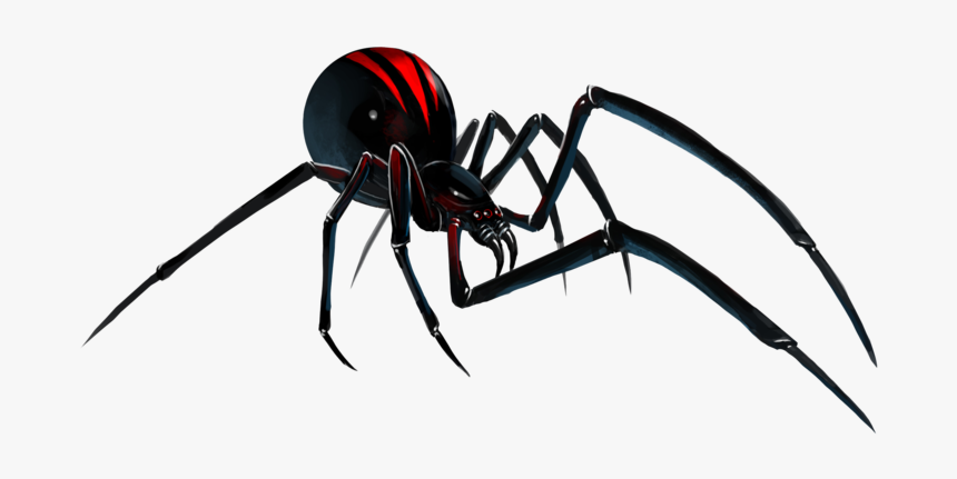 Black Widow Spider Art, HD Png Download, Free Download