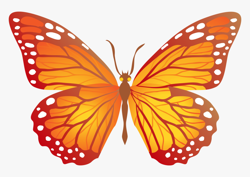 Transparent Pupa Clipart - Orange Butterfly Clipart Png, Png Download, Free Download