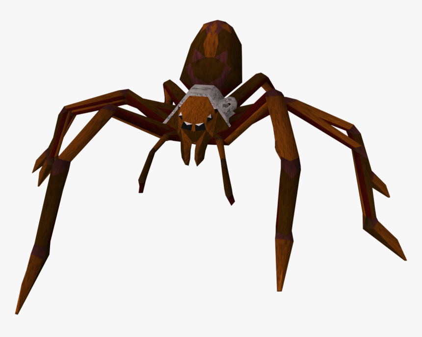 Giant Spider On Transparent, HD Png Download, Free Download