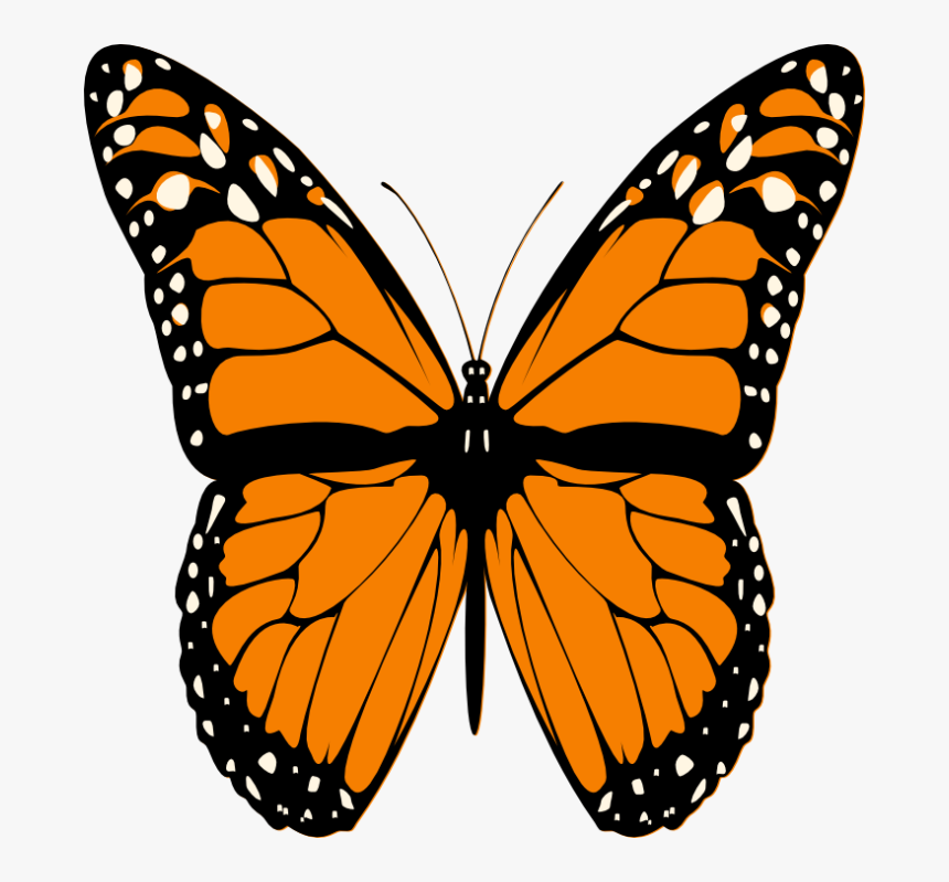 Butterfly Clip Art - Monarchs Butterflies, HD Png Download, Free Download
