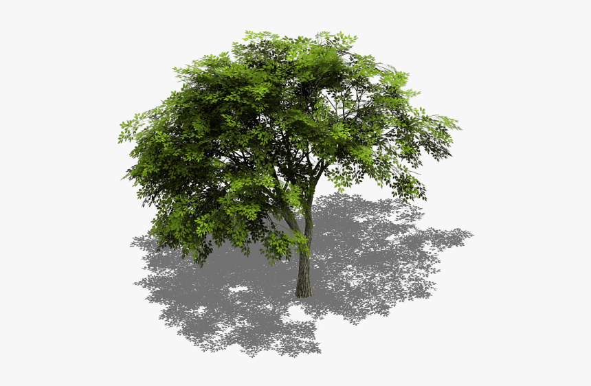 Preview - Tree Isometric View Png, Transparent Png, Free Download