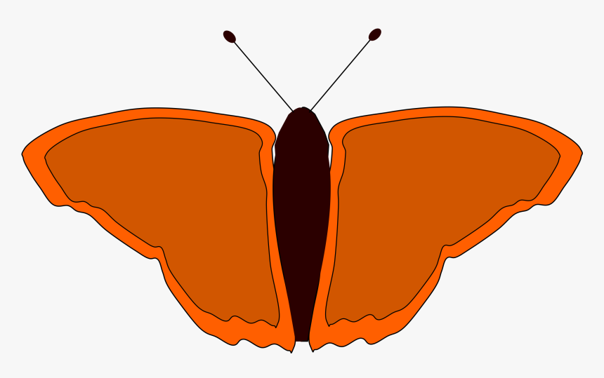 Transparent Orange Butterfly Png - ภาพ การ์ตูน ผีเสื้อ ภาพ โปร่งใส, Png Download, Free Download