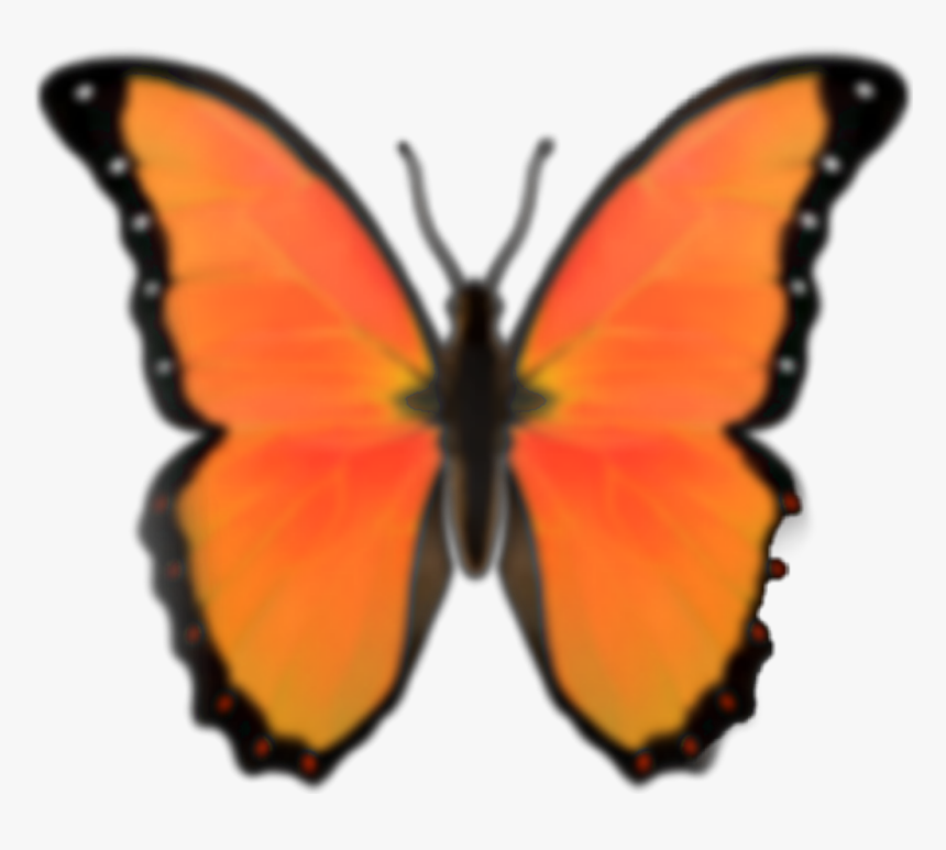 #emoji #butterfly #orange #butterflyemoji #orangeemoji - Blue Butterfly Emoji Png, Transparent Png, Free Download