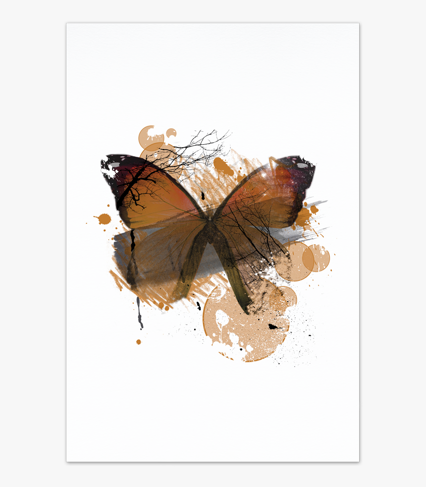 Orange Butterfly Art Card - Brush-footed Butterfly, HD Png Download, Free Download