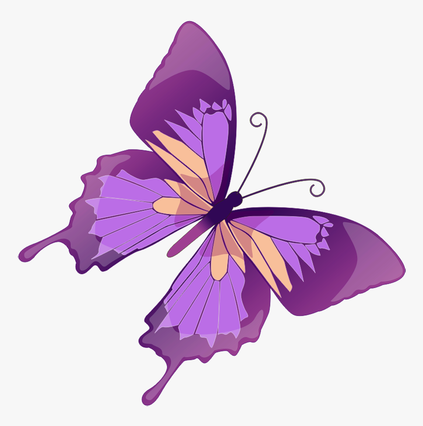 Rainbow Butterfly Clipart Blue Orange Butterfly - Purple Butterfly Clip Art, HD Png Download, Free Download