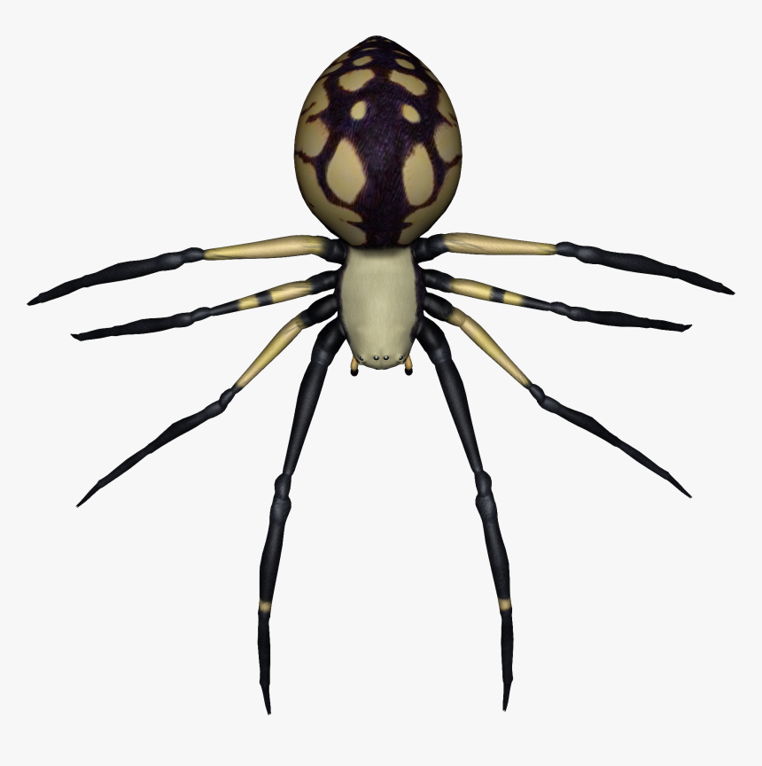 Spider Png Image - Transparent Background Spider, Png Download, Free Download