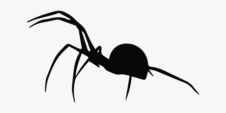 Insect, HD Png Download, Free Download