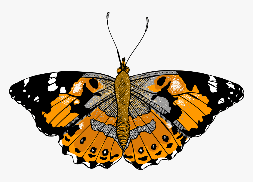 Lady Butterfly Png - Clip Art, Transparent Png, Free Download