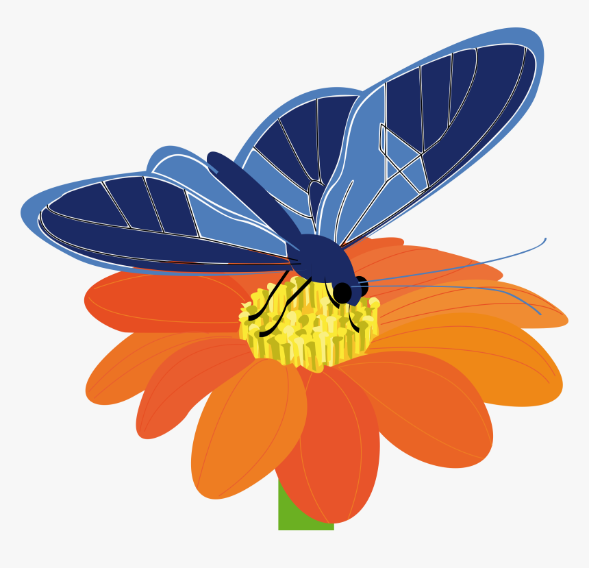 Butterfly On A Flower Clip Arts - Butterflies On Flower Clipart, HD Png Download, Free Download