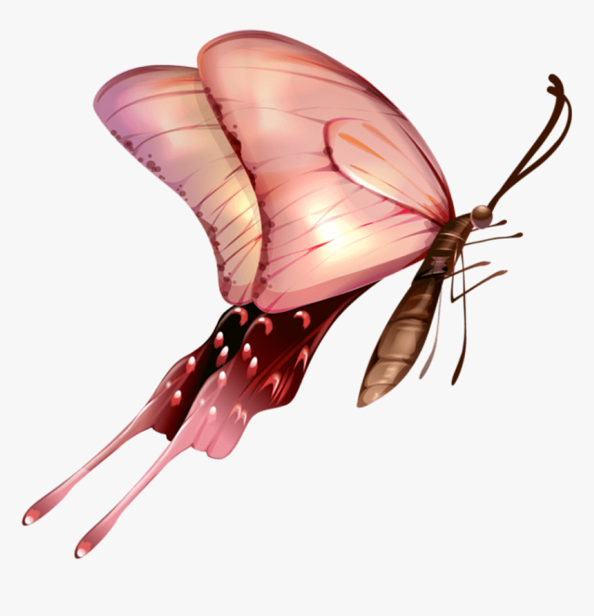 Fondos De Pantalla De Mariposas, HD Png Download, Free Download