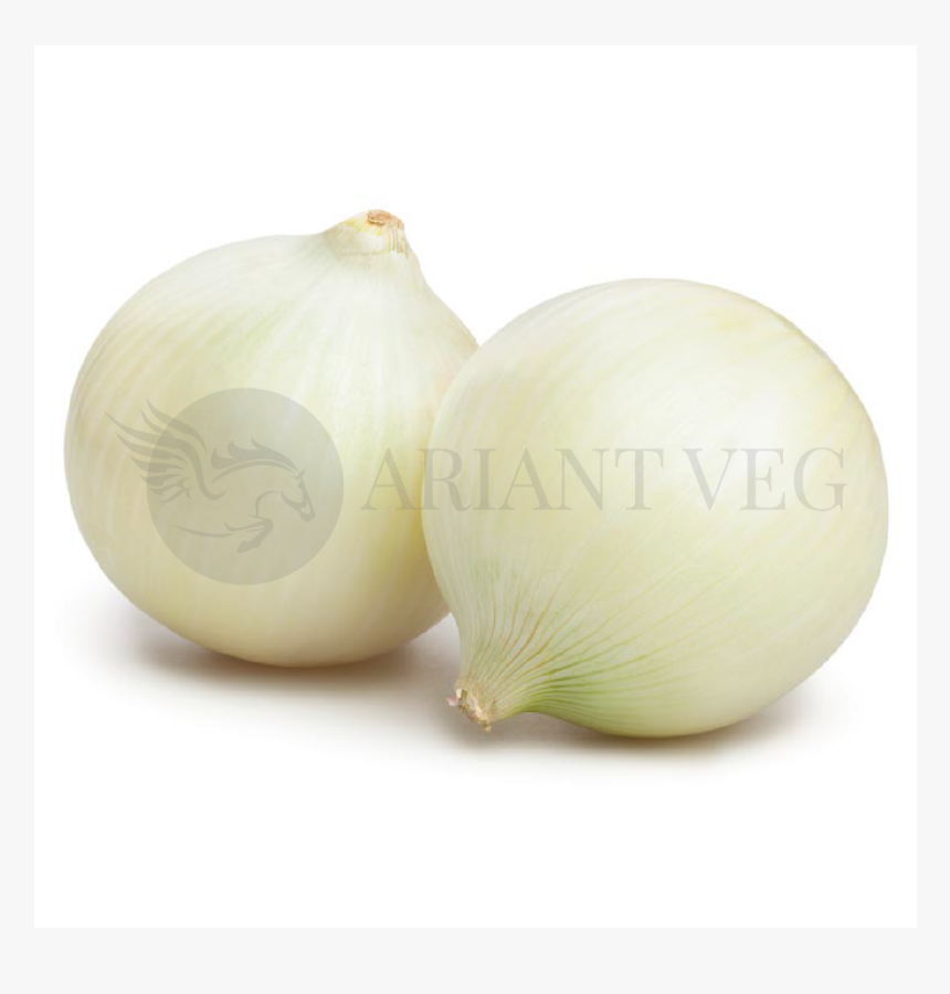 Yellow Onion, HD Png Download, Free Download