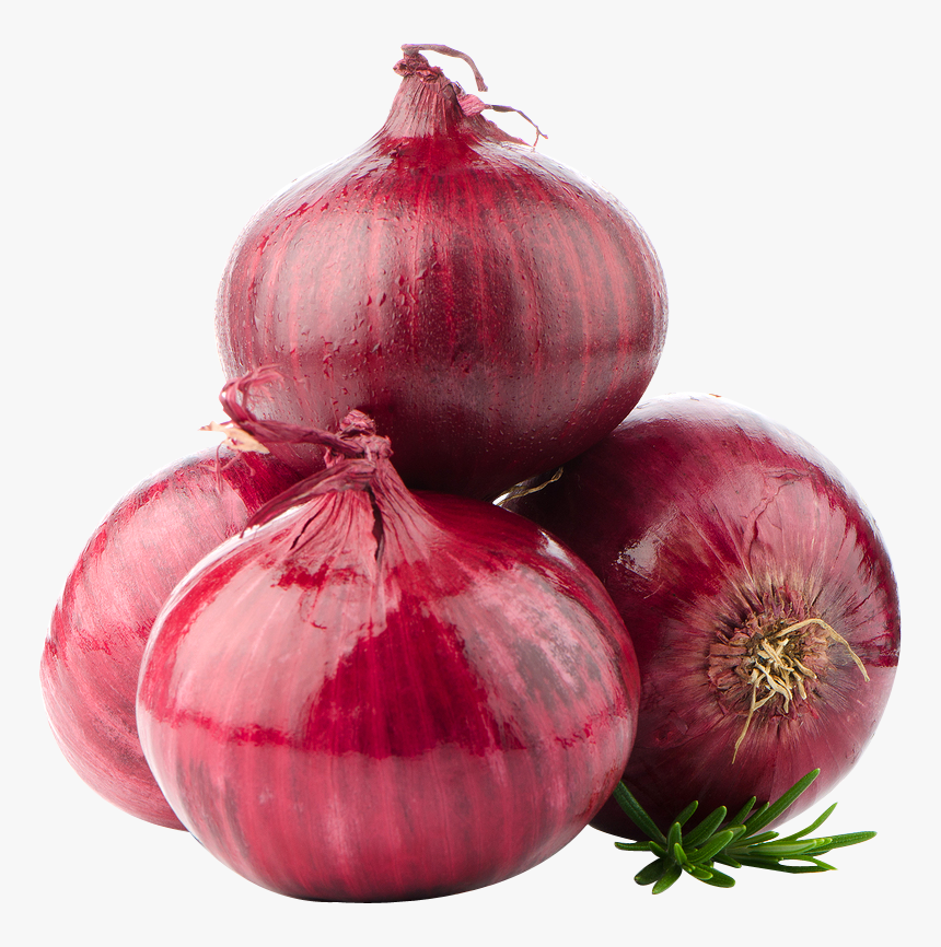 Transparent Background Red Onion Png, Png Download, Free Download