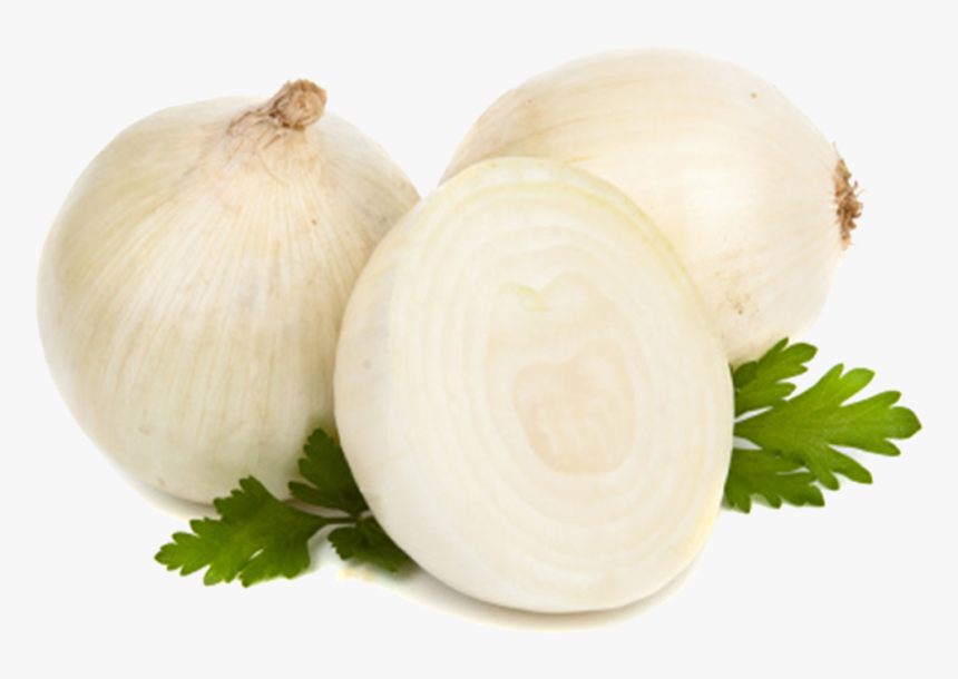 Onion , Png Download - Onion, Transparent Png, Free Download
